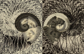  Blier - dyptique  - cration numrique - tirage sous diasec - dition originale  8 exemplaires - 165 cm x 120 cm - 2015