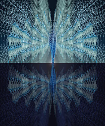  La Roue du Paon  - cration numrique - tirage sous diasec - dition originale  8 exemplaires - 95 x 165 - 2017